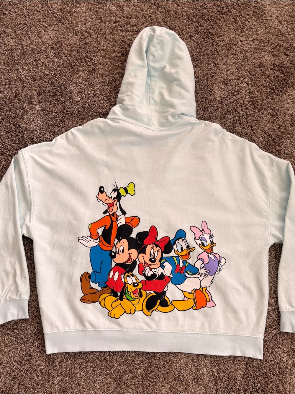 Disneyland Resort Character Zip-Up Hoodie ✨🏰 Size L
